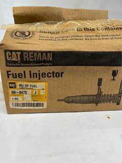 Caterpillar for a Cat