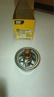 Caterpillar for a Cat