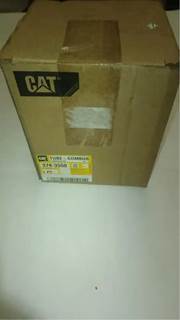 Caterpillar for a Cat