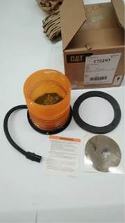 Caterpillar for a Cat