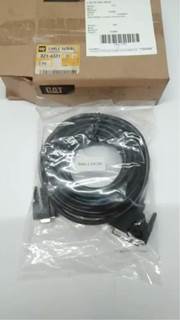 Caterpillar for a Cat