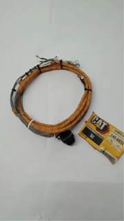 Caterpillar for a Cat