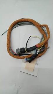 Caterpillar for a Cat