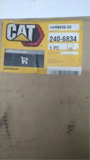 Caterpillar for a Cat