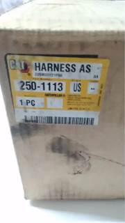 Caterpillar for a Cat