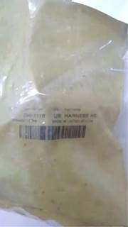 Caterpillar for a Cat