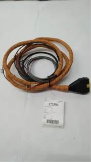 Caterpillar for a Cat