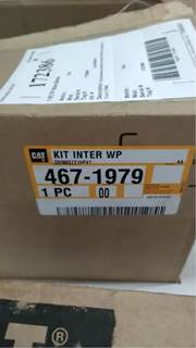 Caterpillar for a Cat