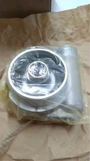 Caterpillar for a Cat