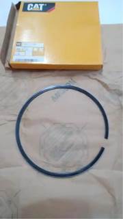 Caterpillar for a Cat