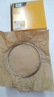 Caterpillar for a Cat