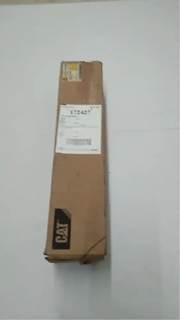 Caterpillar for a Cat