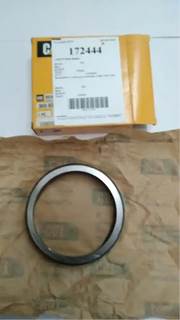 Caterpillar for a Cat