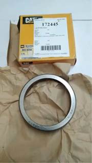 Caterpillar for a Cat