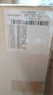 Caterpillar for a Cat