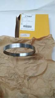 Caterpillar for a Cat