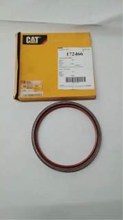 Caterpillar for a Cat