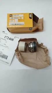 Caterpillar for a Cat