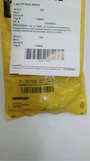 Caterpillar for a Cat