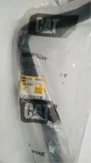 Caterpillar for a Cat