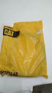 Caterpillar for a Cat