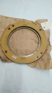 Caterpillar for a Cat