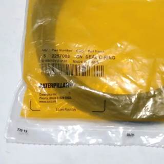 Caterpillar for a Cat