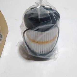 Caterpillar for a Cat