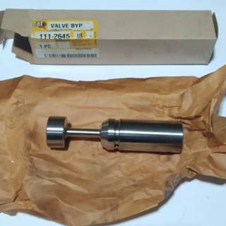 Caterpillar for a Cat