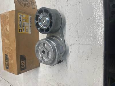 Caterpillar for a Cat