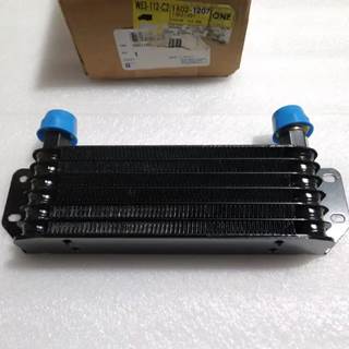 GM Auxiliary Engine Oil Cooler Assembly, Part # 15021207/15723906 for Chevrolet Express/GMC Savana