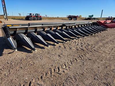 Drago 1630 GT Corn Head