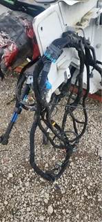 Ford F-650 Cab Wiring Harness