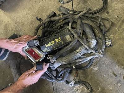 Freightliner Cascadia 125 Cab Wiring Harness