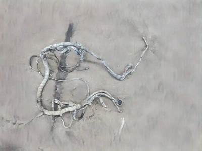 Volvo VNL Cab Wiring Harness