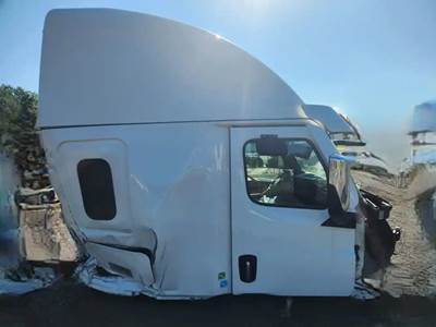 Freightliner Cascadia 126 Right Door