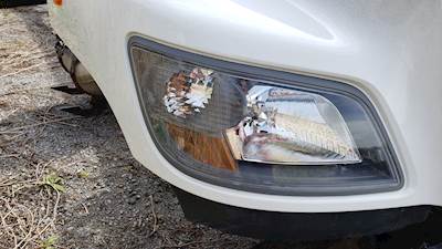 Hino 358 Headlight Assembly