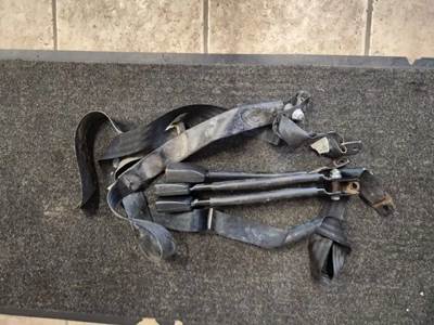 Freightliner M2 106 Seat Belt Assembly