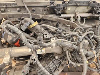 Detroit DD15 Wiring Harness for a 2016 Western Star 5700