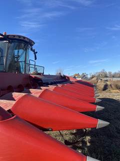 Case IH 4412 Corn Head