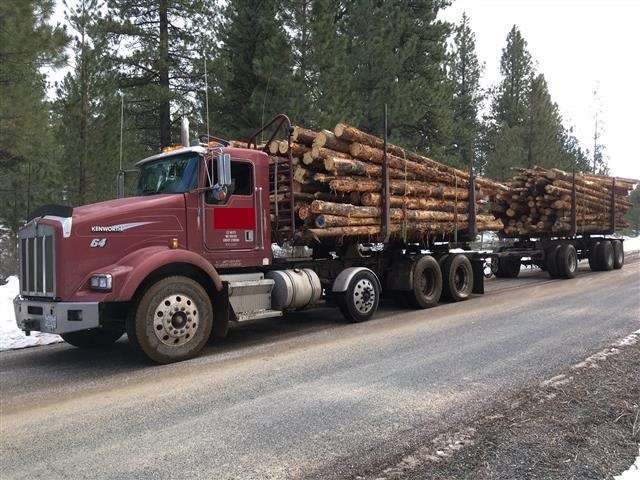 1998 Kenworth T800 Logging Truck For Sale, 914,460 Miles  Redmond, OR  9228763 