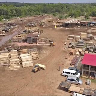 Large Full scale Sawmill Operation (Turnkey Business )