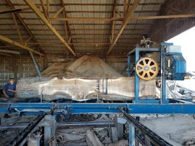 2016 Baker 3665D Bandsaw Mill