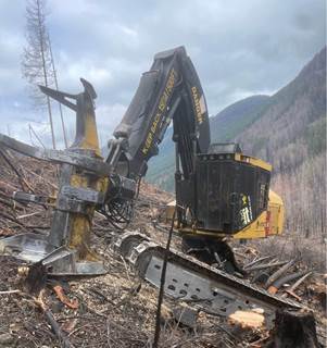 2012 Tigercat L870C Feller Buncher