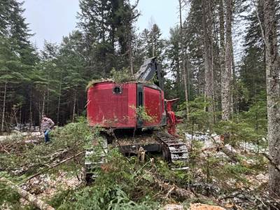 2025 TimberPro TN735D Feller Buncher For Sale, 1,700 Hours | Northeast ...