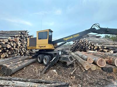 2017 Tigercat 250D Trailer-Mounted Log Loader