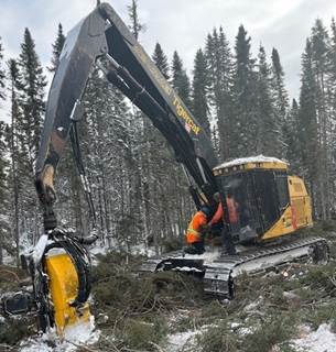 2017 Tigercat H855D Logging Processor - Ponsse H8 Processor