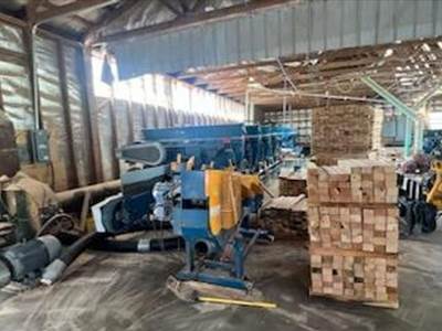 Brewer 6 Head Golden Eagle Resaw