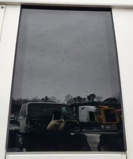 Western Star 5700 Back Window