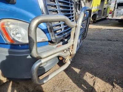 Freightliner Cascadia 125 Bumper Guard